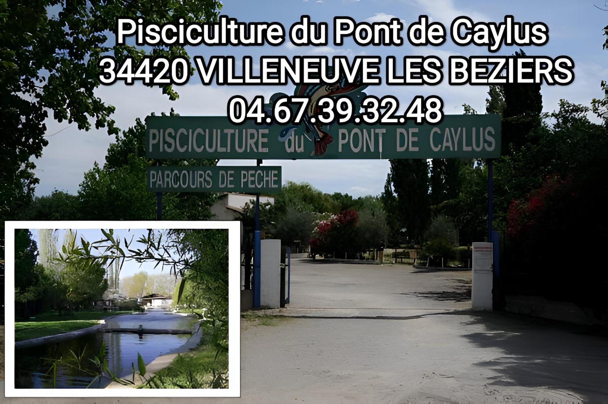 Tiny House 3 Personnes Soeursgrises Beziers Centre Historique Coeur De L'Herault Capitale D'Occitanie Exterior photo
